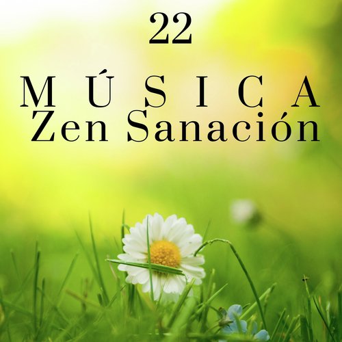 Yoga Meditación cover art