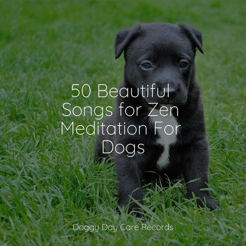 50 Beautiful Songs for Zen Meditation For Dogs