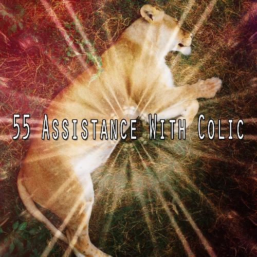 55 Assistance with Colic