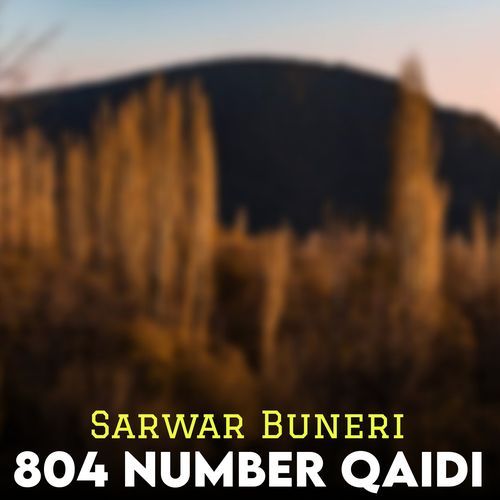 804 Number Qaidi