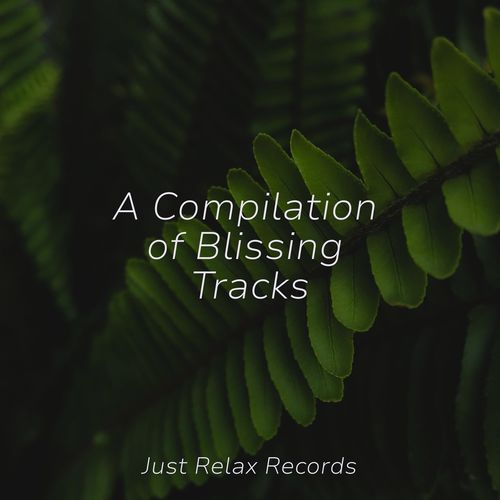 Ethereal Echoes in E Minor cover art
