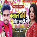 Bawal hoi tora shaadi me