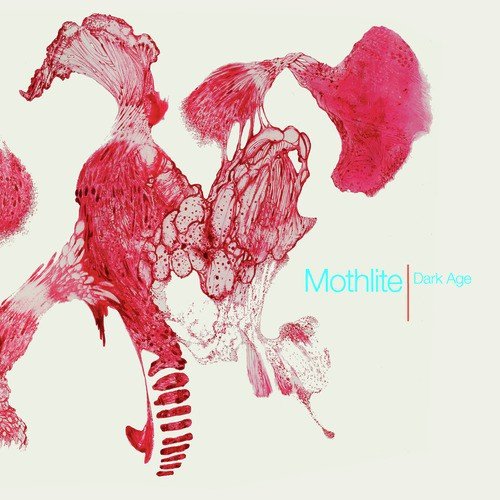 Zebras cover art