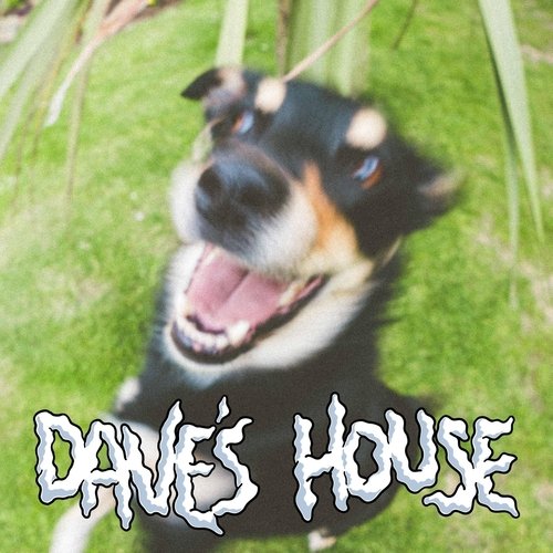 Dave's House cover art