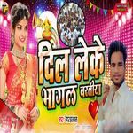 Dil Leke Bhagal Bartiya