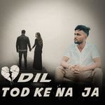 Dil Tod Ke Na Ja