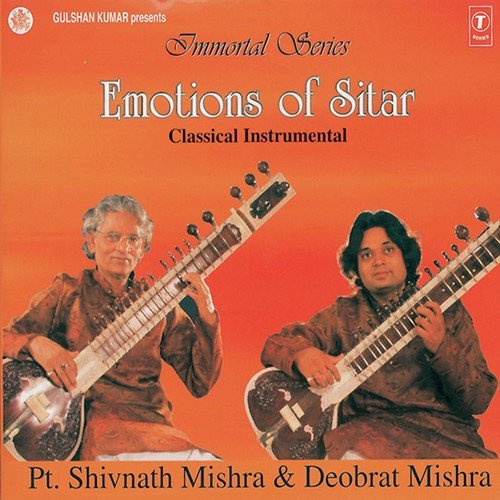 Emotions Of Sitar