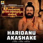 Haridanu Akashake (From "Nayakanahatti Sri Guru Tipperudraswamy Mahathme") artwork