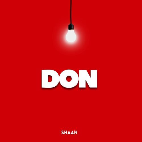Main Hoon Don Live
