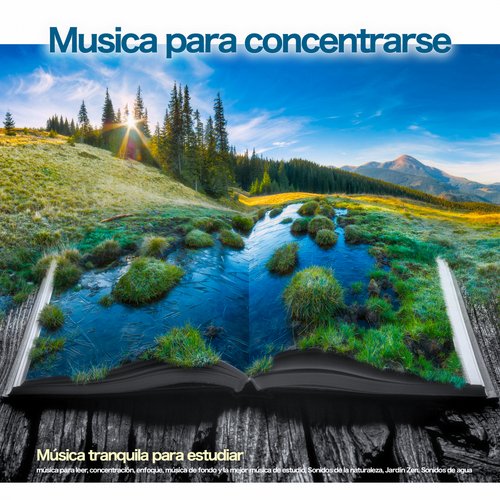 Sonidos de lluvia cover art