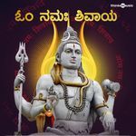 Om Namah Shivaya