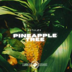 Pineapple Tree-FgAoAixVdQE