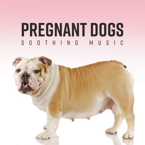 Good Mood cover art
