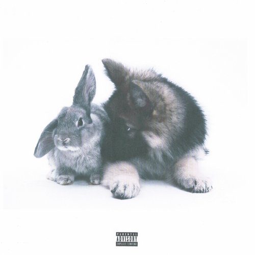 Rosolo Roso cover art