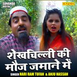 Shekhchilli ki mauj jamane mein (Hindi)