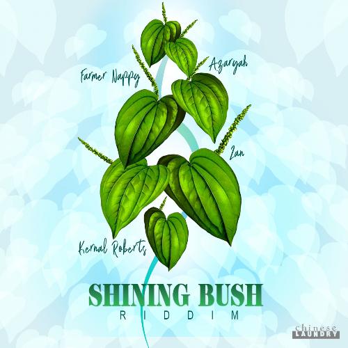 Shining Bush Riddim