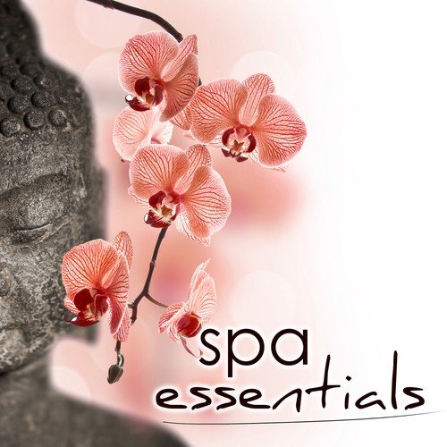 Spa & Spa cover art