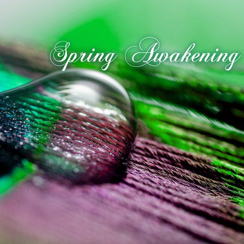 Spring Awakening - New Age Meditation Music for Spring Summer Equinox, Nature Sounds_poster_image