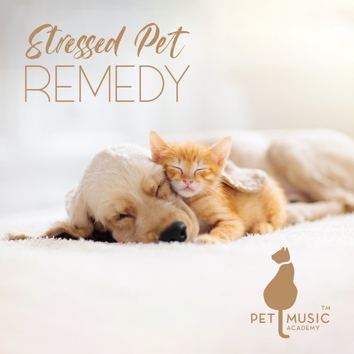 Stressed Pet Remedy: Stress Free Music for Pets_poster_image