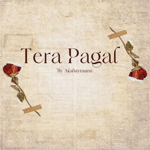 Tera Pagal