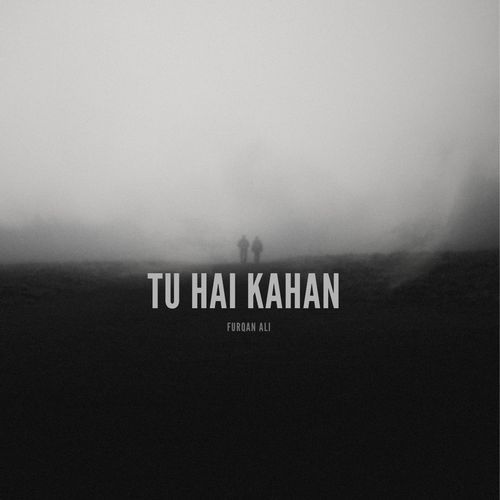 Tu Hai Kahan_poster_image