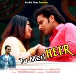 Tu Meri Heer