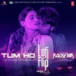 Tum Ho Lofi Flip