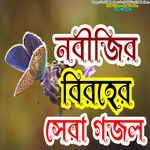 Tumi Meherban Go Nobiji Tumi Meherban - Cute Voice - Male Version