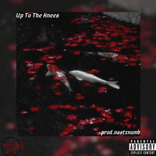 Up To The Knees cover art
