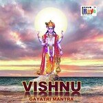 Vishnu Gayatri Mantra