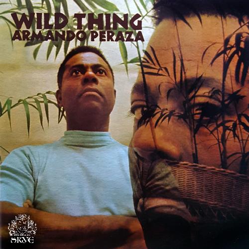 Wild Thing_poster_image