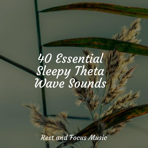 40 Essential Sleepy Theta Wave Sounds