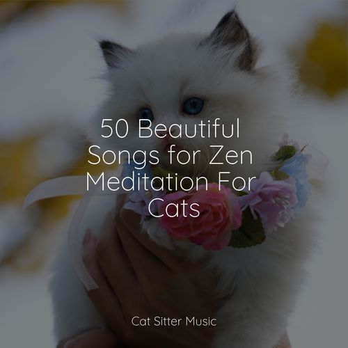 50 Beautiful Songs for Zen Meditation For Cats_poster_image