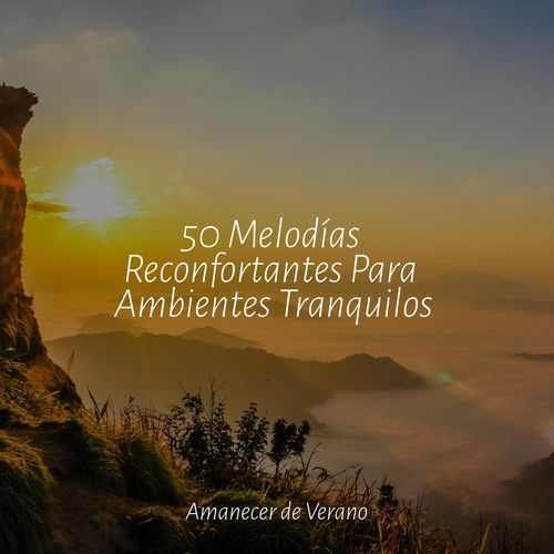 50 Melodías Reconfortantes Para Ambientes Tranquilos