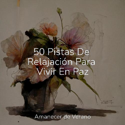 50 Pistas De Relajación Para Vivir En Paz