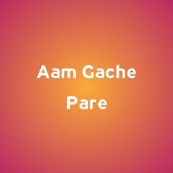 Aam Gache Pare-OC8dbkZ6dGA