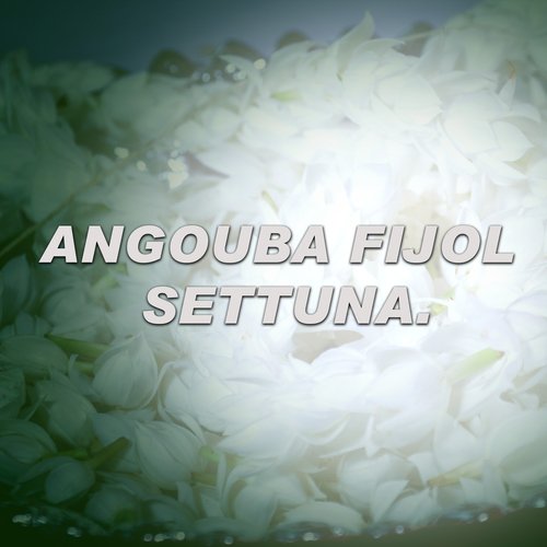 Angouba Fijol Settuna