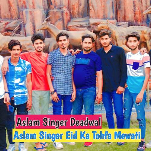 Aslam Singer Eid Ka Tohfa Mewati_poster_image