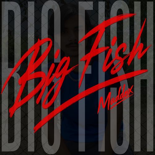 Big Fish