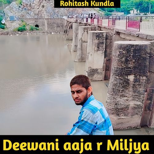 Deewani Aaja R Miljya