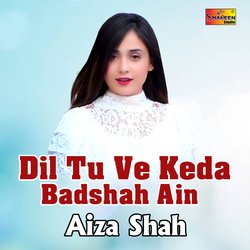 Dil Tu Ve Keda Badshah Ain-IFwiYz55UUU