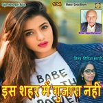 Es Shahar Me Gujara Nahi