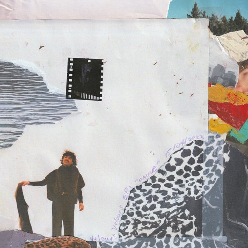 Les fauves cover art