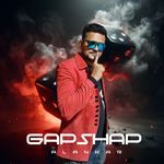GAPSHAP