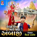 Haji Ha Mare Javu Ambaji