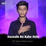 Hasnain Ro Rahe Hein