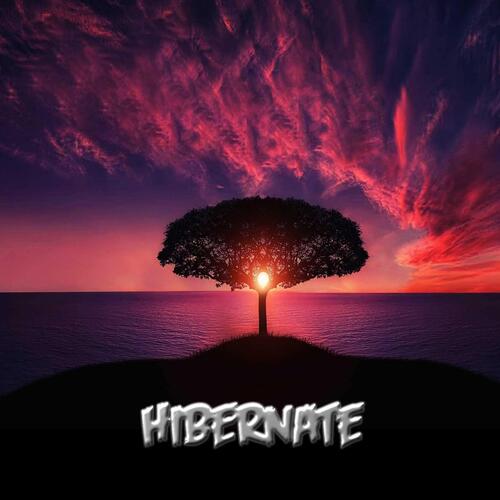 Hibernate