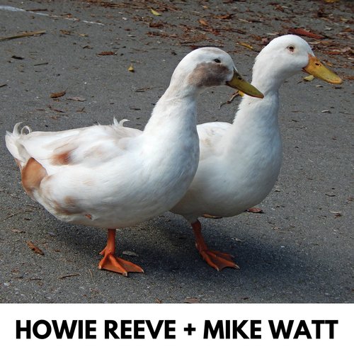 Howie Reeve &amp; Mike Watt_poster_image