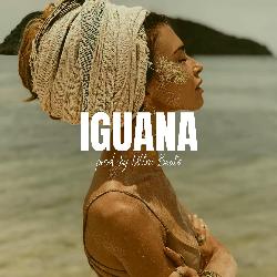 Iguana-QDEIdzxHQEc