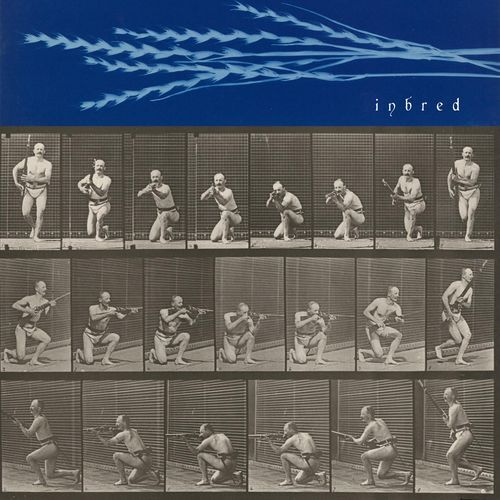 Inbred cover art